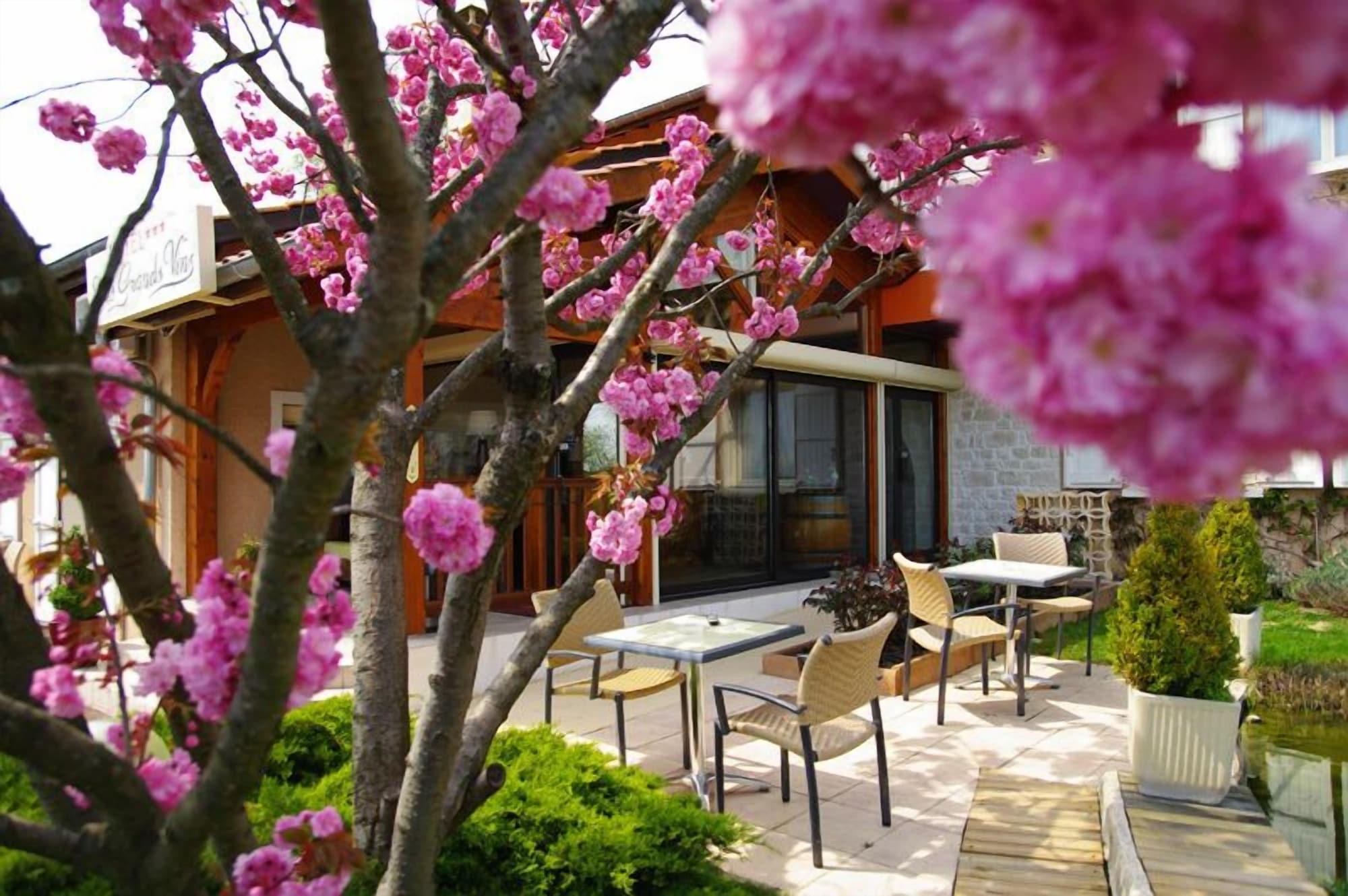 Logis Hotel Des Grands Vins Fleurie Dış mekan fotoğraf