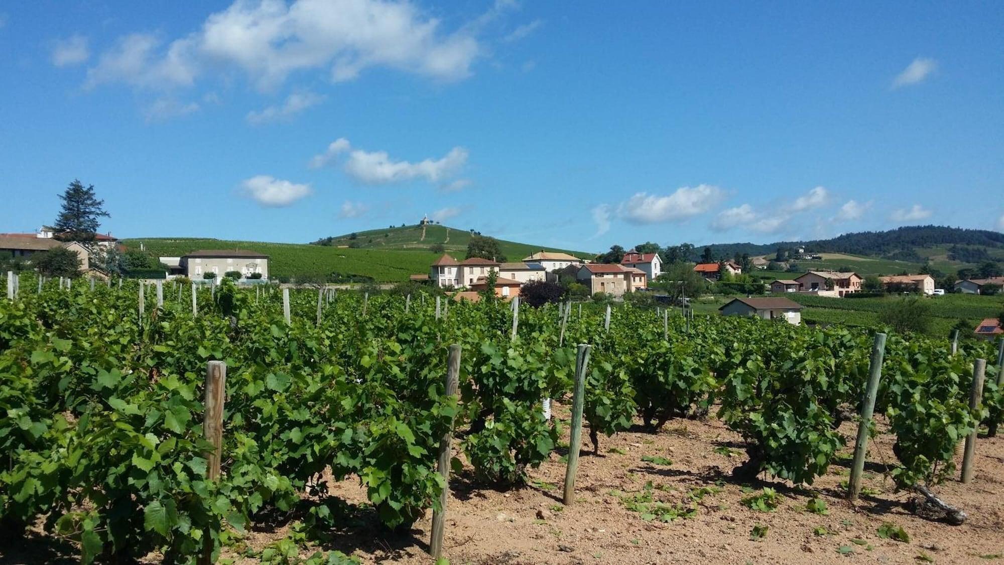 Logis Hotel Des Grands Vins Fleurie Dış mekan fotoğraf