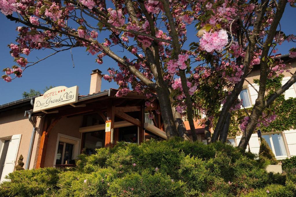 Logis Hotel Des Grands Vins Fleurie Dış mekan fotoğraf